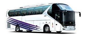 廈門金龍XMQ6125AY